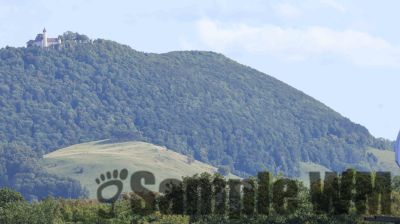 IMG_0893
Keywords: junkers,Mustang,P51,Electra,Blanik,Messerschmitt,ME262,BF 109,Spitfire,Corsair,Lockheed,P38 Lightning