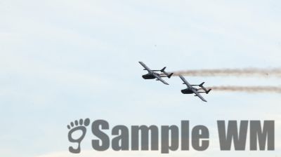 IMG_1140
Keywords: junkers,Mustang,P51,Electra,Blanik,Messerschmitt,ME262,BF 109,Spitfire,Corsair,Lockheed,P38 Lightning