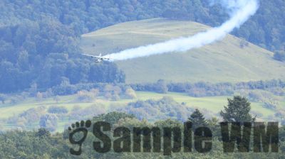 IMG_1172
Keywords: junkers,Mustang,P51,Electra,Blanik,Messerschmitt,ME262,BF 109,Spitfire,Corsair,Lockheed,P38 Lightning