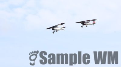 IMG_1205
Keywords: junkers,Mustang,P51,Electra,Blanik,Messerschmitt,ME262,BF 109,Spitfire,Corsair,Lockheed,P38 Lightning