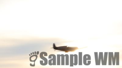 IMG_1256
Keywords: junkers,Mustang,P51,Electra,Blanik,Messerschmitt,ME262,BF 109,Spitfire,Corsair,Lockheed,P38 Lightning