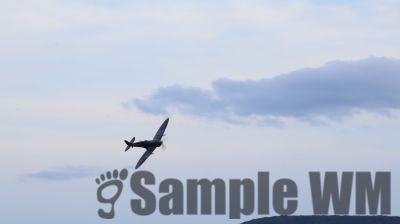 IMG_1278
Keywords: junkers,Mustang,P51,Electra,Blanik,Messerschmitt,ME262,BF 109,Spitfire,Corsair,Lockheed,P38 Lightning