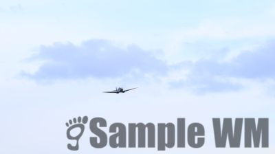 IMG_1654
Keywords: junkers,Mustang,P51,Electra,Blanik,Messerschmitt,ME262,BF 109,Spitfire,Corsair,Lockheed,P38 Lightning