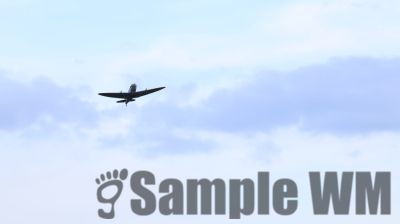 IMG_1660
Keywords: junkers,Mustang,P51,Electra,Blanik,Messerschmitt,ME262,BF 109,Spitfire,Corsair,Lockheed,P38 Lightning