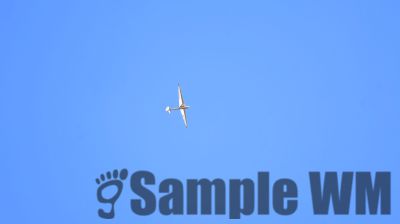 IMG_0059.JPG