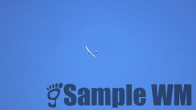IMG_0094.JPG