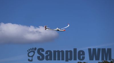 IMG_0207.JPG