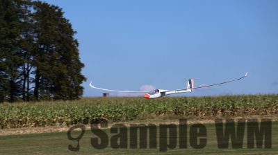 IMG_0474.JPG