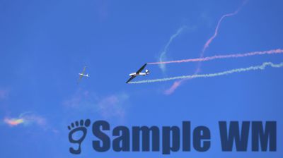 IMG_1333.JPG