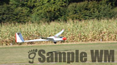 IMG_1668.JPG