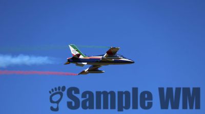 IMG_1806.JPG