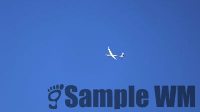 IMG_1924.JPG