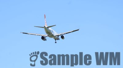 IMG_0557.JPG