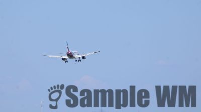 IMG_0649.JPG