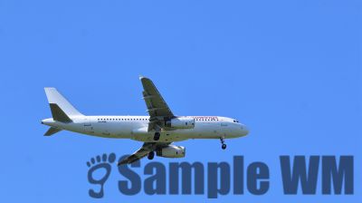 IMG_0691.JPG