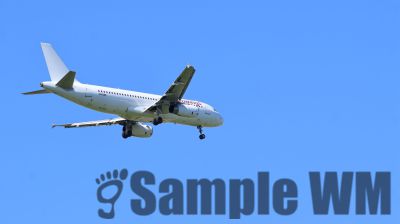 IMG_0713.JPG