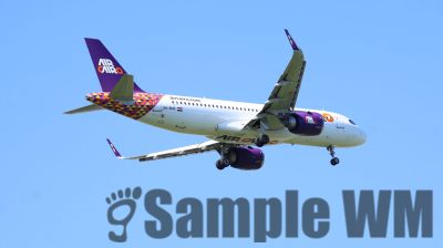 IMG_0852.JPG