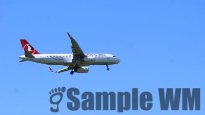 IMG_0957.JPG