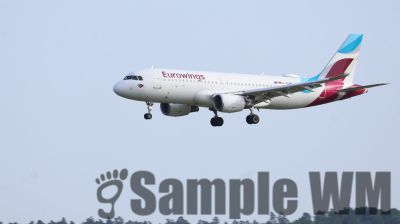IMG_0988.JPG