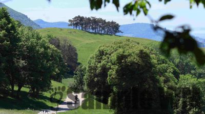 IMG_0447.JPG