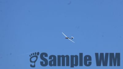 IMG_0460.JPG