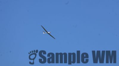 IMG_0461.JPG