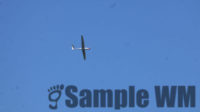 IMG_0462.JPG