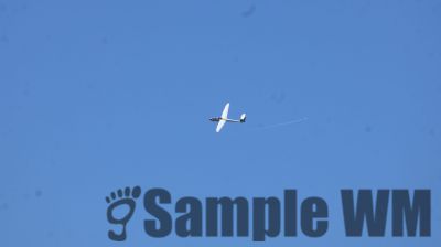 IMG_0466.JPG