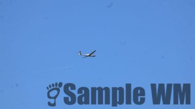IMG_0469.JPG