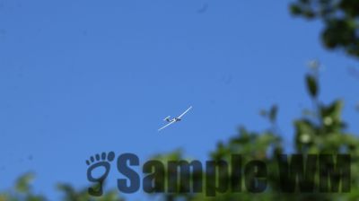 IMG_0480.JPG
