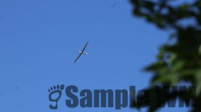 IMG_0484.JPG