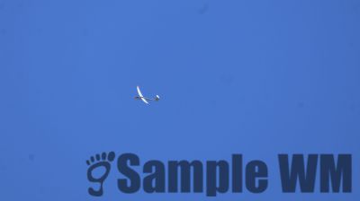 IMG_0496.JPG