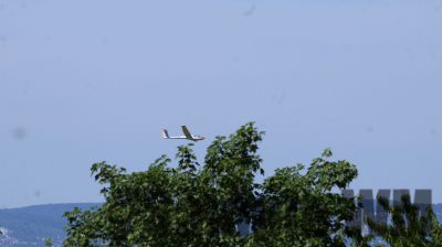 IMG_0523.JPG