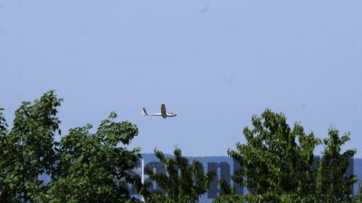 IMG_0524.JPG