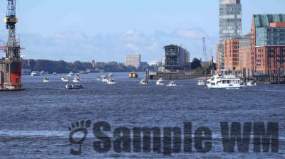 IMG_1238.JPG