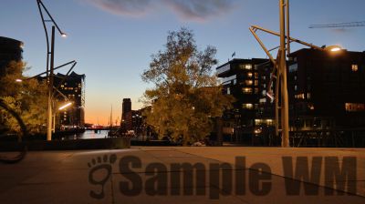 IMG_1284.JPG