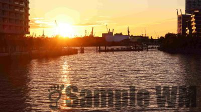 IMG_1557.JPG