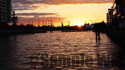 IMG_1562.JPG