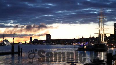 IMG_1581.JPG