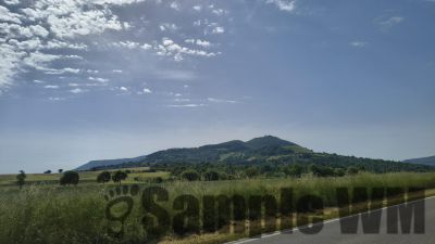 IMG_20260531_103334711_HDR.jpg