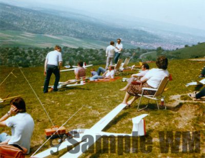 001_Teck.jpg