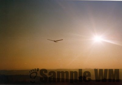 053ASW17Katharinenlinde.jpg