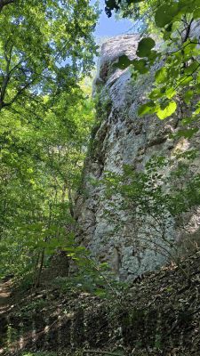 IMG_20260627_161314579_HDR.jpg