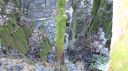 Filename=1000008571.jpg
Filesize=332KiB
Dimensions=1366x767
Date added=Dec 28, 2024 1000008571.jpg