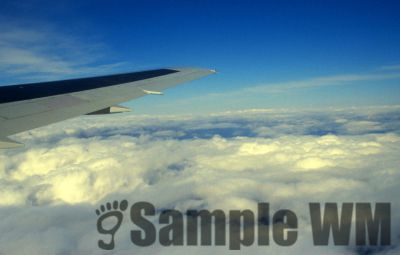 GT_Digital_Service0204.jpg