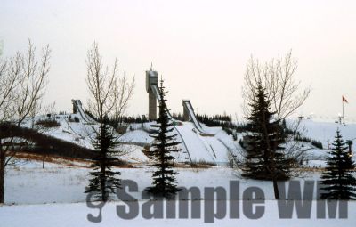 GT_Digital_Service0222.jpg