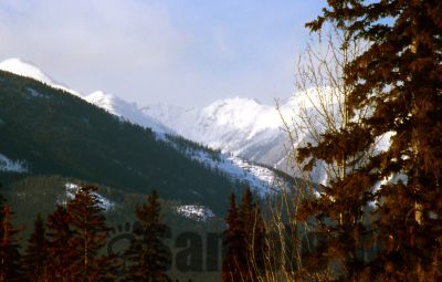 GT_Digital_Service0239.jpg