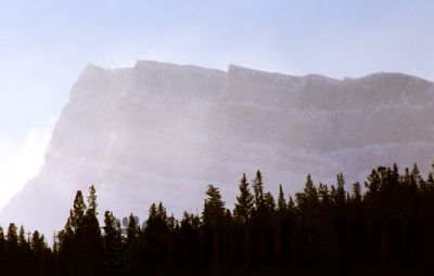 GT_Digital_Service0240.jpg