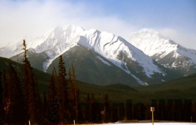 GT_Digital_Service0243.jpg