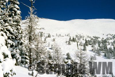 GT_Digital_Service0263.jpg